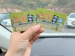 -大连森林动物园