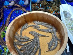 -高佳庄·舟山海鲜(海景旗舰店)