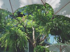景观位-Fern Forest Cafe