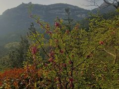 -青岛崂山太清宫