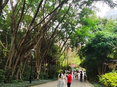 -深圳国际园林花卉博览园