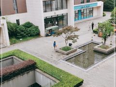 -菊花台公园