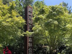 -昆山城市生态森林公园