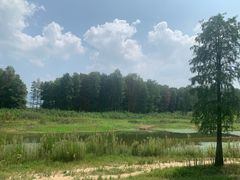 -四明湖