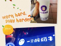 -一只酸奶牛(八一路店)