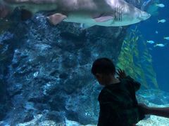 -暹罗海洋世界
