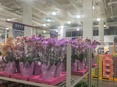 -山姆会员商店(西溪店)