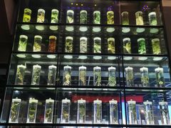 -广东中医药博物馆