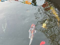 -西安市广仁寺