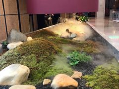 -麻路成都火锅(柏威年店)
