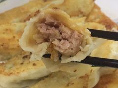 -青岛锅贴(四流中路店)