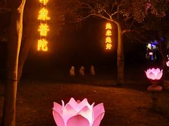 -印象普陀