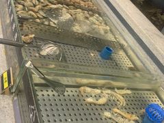 -圣罗巴海鲜自助(黑金店)