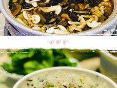 -爱膳菌锅锅(阳南店)