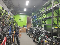 -道路口单车爱瓦士dahon大行