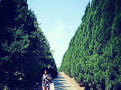 -秦始皇帝陵博物院-丽山园