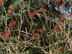 -福建鲤鱼洲酒店