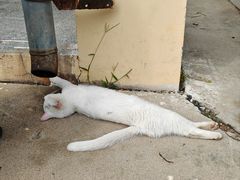 -山东大学(威海校区)