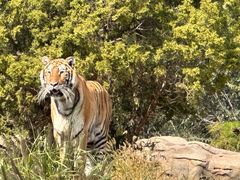 -北京野生动物园