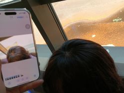 -碧莲盛·不剃发植发