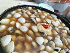 -顺德哥卜卜贝(旗舰店)
