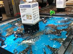 水产区-盒马鲜生(宝地店)
