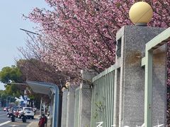 -苏州市相城人民医院