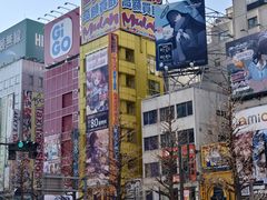 -秋叶原电器街