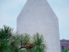 -中国艺术研究院油画院