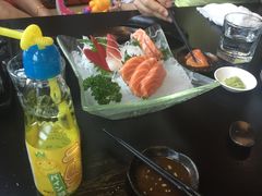 -春草居酒屋·晴子の店