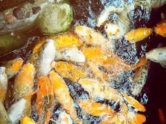-上海大自然野生昆虫馆