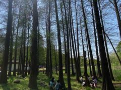 -青龙山国家森林公园