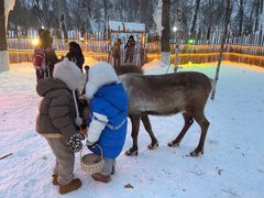 -长春世界雕塑园冰雪艺术天地