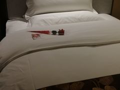 -张掖华辰国际大酒店