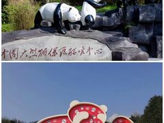 -都江堰中华大熊猫苑