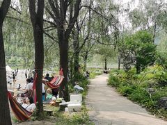 -白河湾生态旅游一条川