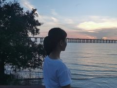 -宝安西湾红树林湿地公园