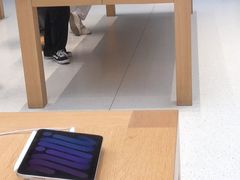-Apple零售店(苏州店)