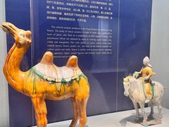 -镇江博物馆