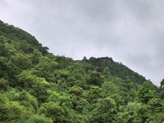 -黔灵山公园-南门售票处