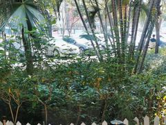 -勝記酒家·37年老字号·经典粤菜(荔枝公园店)