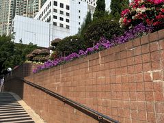-九龙公园