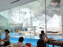 -帝企鹅自助餐厅•儿童岛•真企鹅(长隆企鹅酒店)