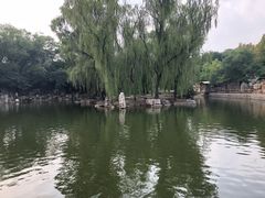 -辛玛王国游乐园