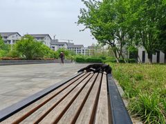 -安徽大学(磬苑校区)