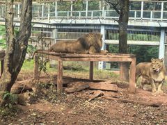 -昆明动物园
