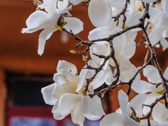-杭州上天竺法喜讲寺