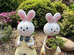 -上海共青森林公园