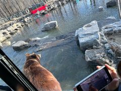 -北京野生动物园