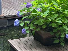 -湖滨客舍·湖北菜
